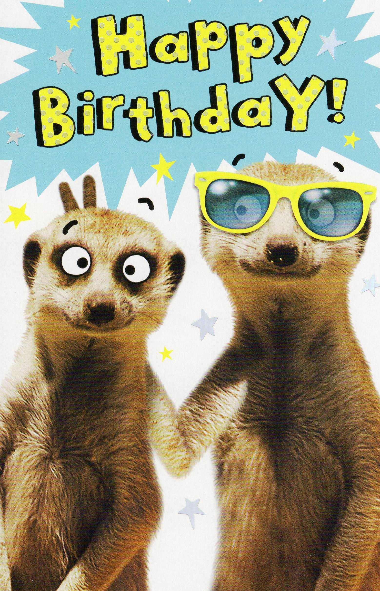 Best ideas about Funny Happy Birthday Video
. Save or Pin Funny Meerkat Happy Birthday Card Humour Greeting Cards Now.