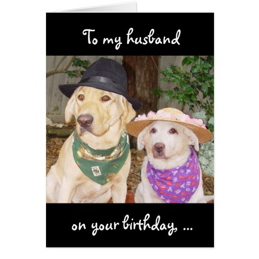 Best ideas about Funny Husband Birthday Cards
. Save or Pin Funny Husband Birthday Greeting Card Now.