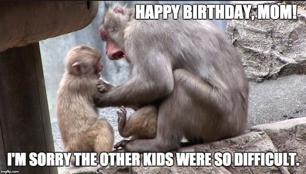 Best ideas about Funny Mom Birthday Meme
. Save or Pin Funny Happy Birthday Mom Meme for Your Lovely Mother Now.