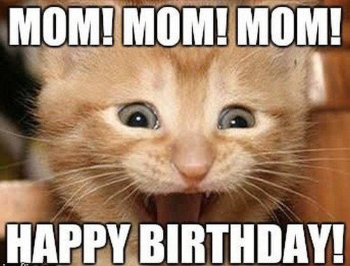 Best ideas about Funny Mom Birthday Meme
. Save or Pin Happy Birthday Mom Memes Now.