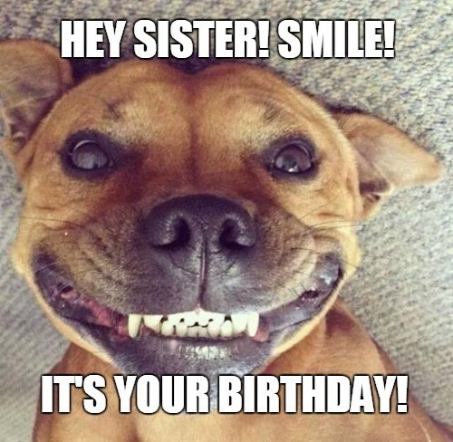 Best ideas about Funny Sister Birthday Memes
. Save or Pin 40 Birthday Memes For Sister Now.