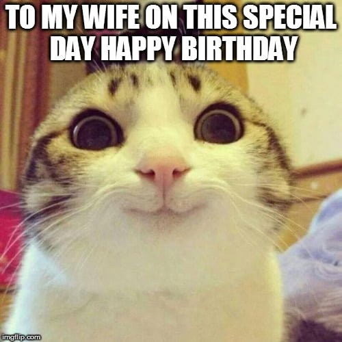 Best ideas about Funny Wife Birthday Meme
. Save or Pin Happy Birthday Memes for Wife Funny Jokes and Now.