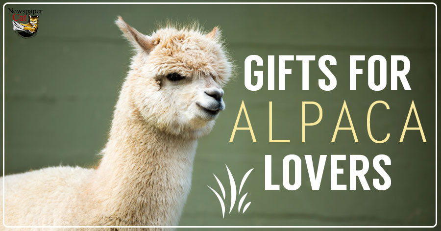 Best ideas about Gift Ideas For Farmers
. Save or Pin Cute & Unique Present Ideas And Gifts For Alpaca Lovers Now.