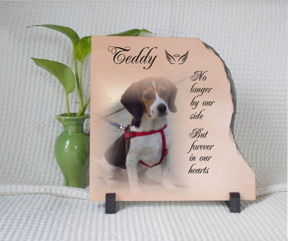 Best ideas about Gift Ideas For Loss Of Pet
. Save or Pin Pet loss t pet memorial t Dog loss Pet Sympathy Gift Now.