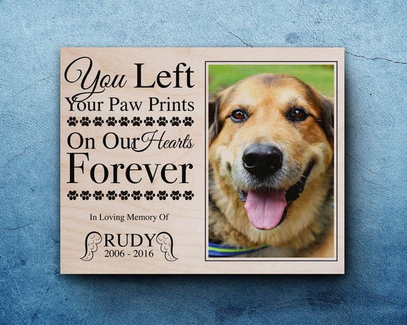 Best ideas about Gift Ideas For Loss Of Pet
. Save or Pin Pet Memorial Frame Pet Loss Gifts Dog Sympathy Pet Memorial Now.