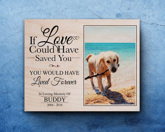 Best ideas about Gift Ideas For Loss Of Pet
. Save or Pin Pet Memorial Gift For Pet Loss In Memory Dog Dog Now.