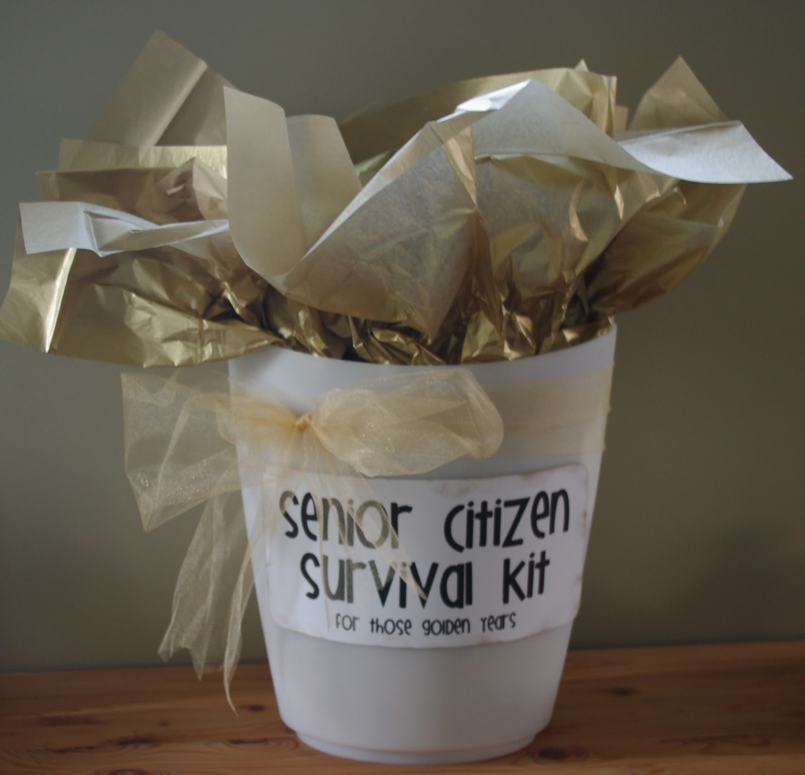 Best ideas about Gift Ideas For Senior Citizens
. Save or Pin Creative "Try"als Senior Citizen Survival Kit Now.