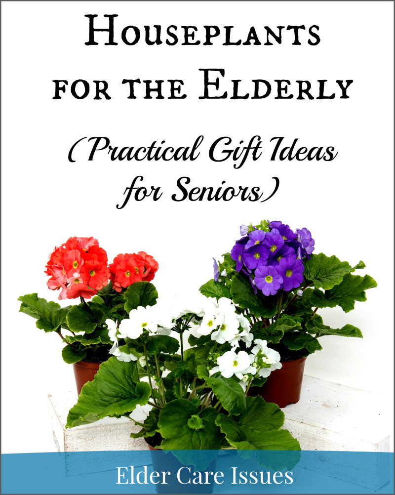 Best ideas about Gift Ideas For The Elderly
. Save or Pin Houseplants for the Elderly Practical Gift Ideas for Now.