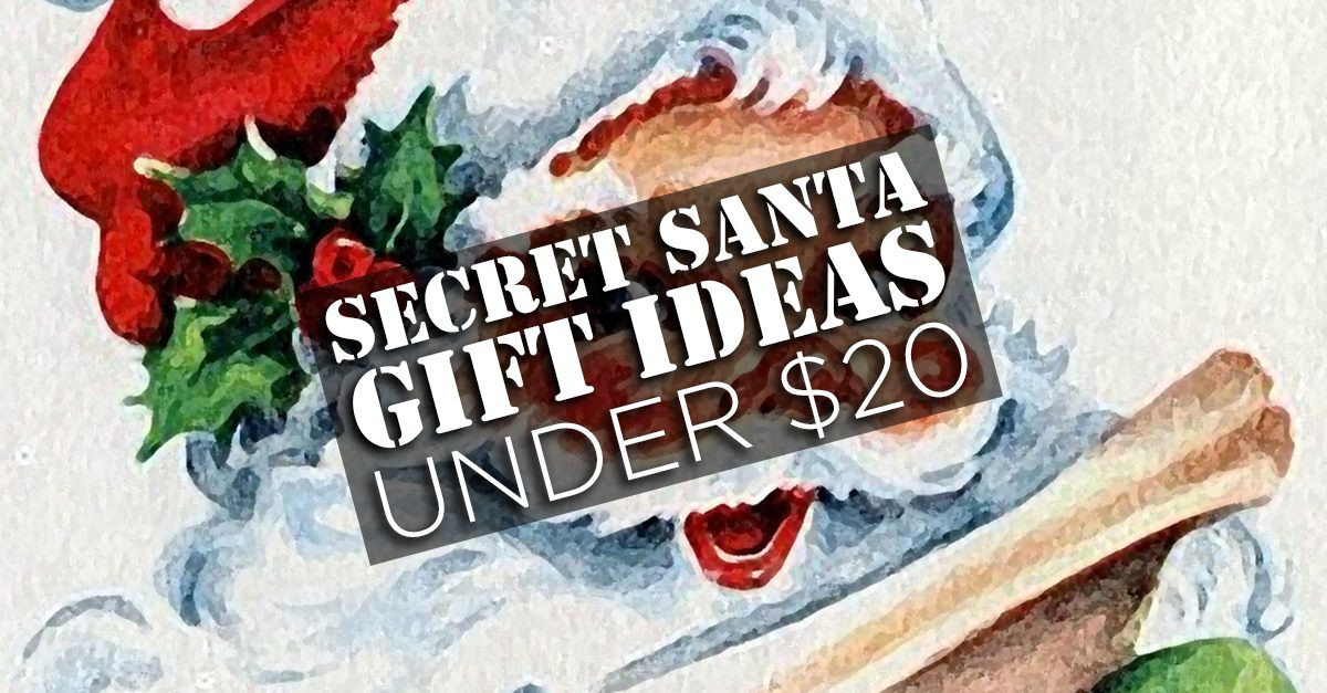 Best ideas about Gift Ideas Under 20$
. Save or Pin 7 Gifts Under $20 That Will Work For Any Secret Santa Gift Now.