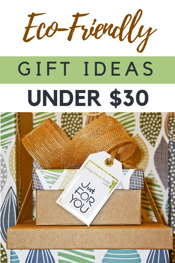 Best ideas about Gift Ideas Under $30
. Save or Pin Eco Friendly Gift Ideas Under $30 Now.