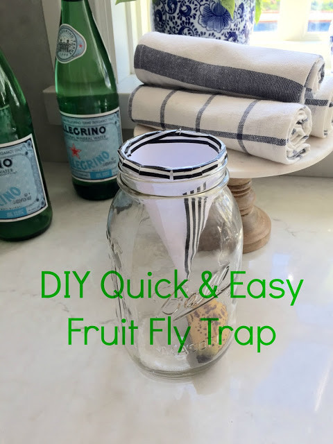 Best ideas about Gnat Trap DIY
. Save or Pin Eleven Gables DIY Quick and Easy Fruit Fly Gnat Trap Now.