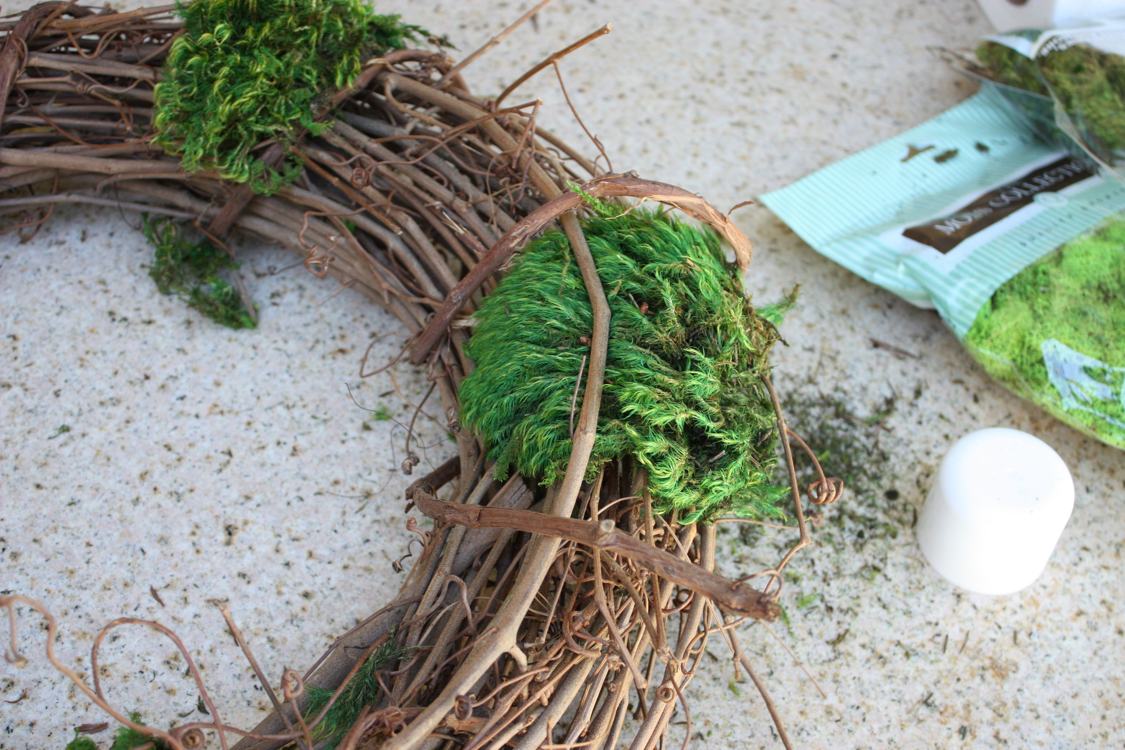 Best ideas about Grapevine Wreath DIY
. Save or Pin Mixed Moss Grapevine Wreath DIY Now.