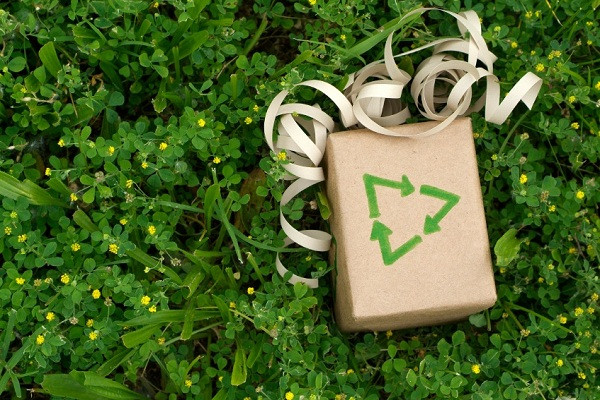 Best ideas about Green Gift Ideas
. Save or Pin 8 Eco friendly t wrap ideas Now.