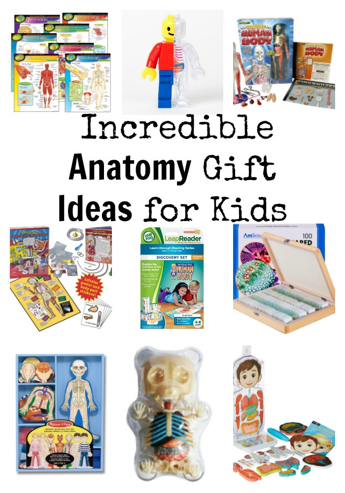 Best ideas about Grey'S Anatomy Gift Ideas
. Save or Pin Anatomy Gift Ideas for Kids Now.