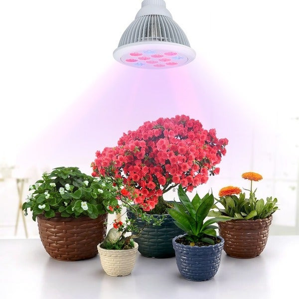 Best ideas about Grow Lights For Indoor Plants Walmart
. Save or Pin Shop White Aluminum 36 watt Newest LED Full 3 Bands Now.