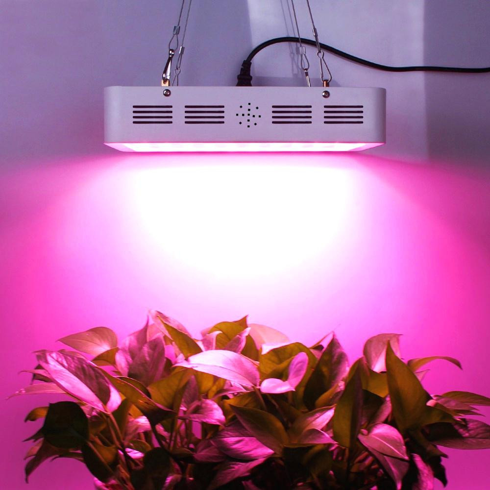 Best ideas about Grow Lights For Indoor Plants Walmart
. Save or Pin grow lights – construyendo puentes Now.