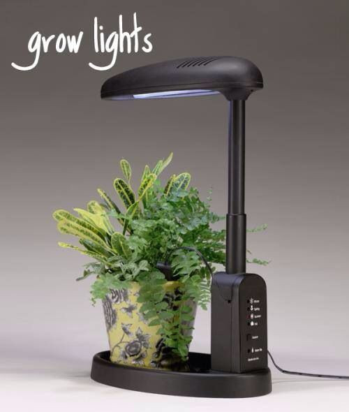 Best ideas about Grow Lights For Indoor Plants Walmart
. Save or Pin 25 best Growlight images on Pinterest Now.