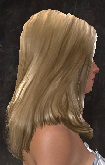 Best ideas about Gw2 Hairstyles
. Save or Pin GW2 New hairstyles in makeover kits Dulfy Now.