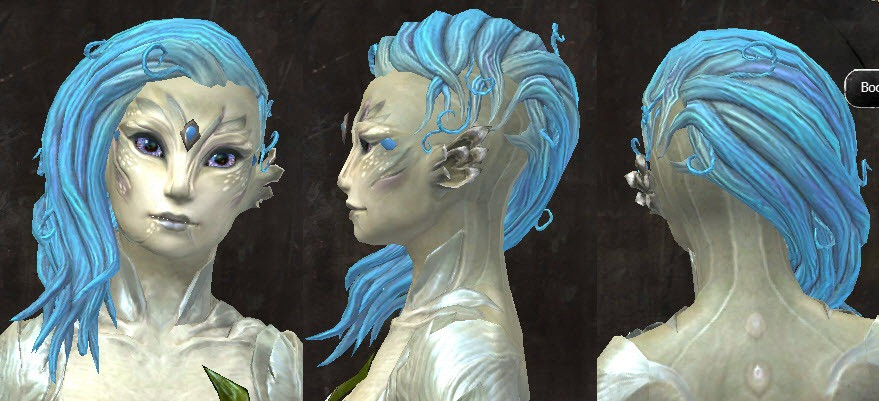 Best ideas about Gw2 Hairstyles
. Save or Pin GW2 New Hairstyles in Wintersday Patch Dulfy Now.