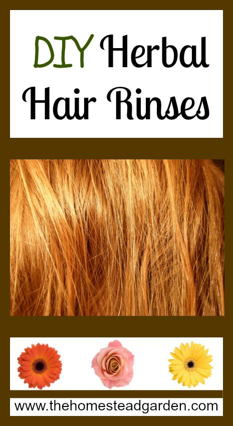 Best ideas about Hair Rinse DIY
. Save or Pin DIY Herbal Hair Rinses Now.