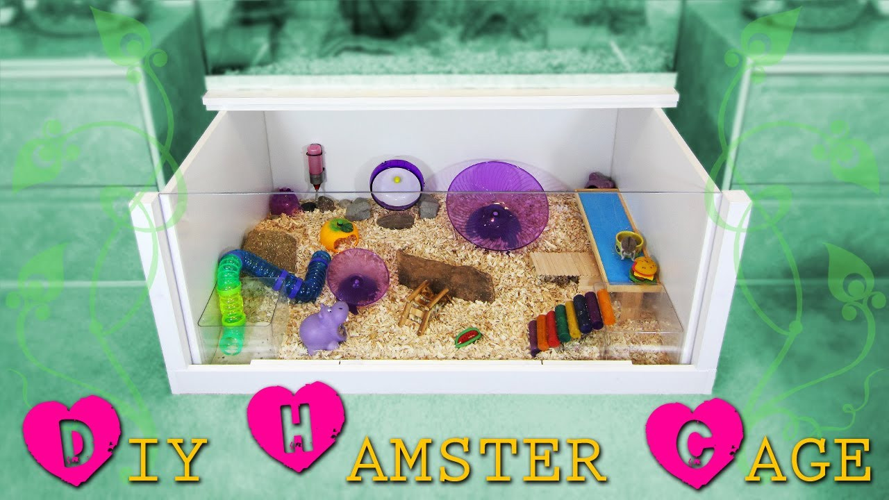 Best ideas about Hamster Cage DIY
. Save or Pin How to build a DIY hamster cage Instructions Now.