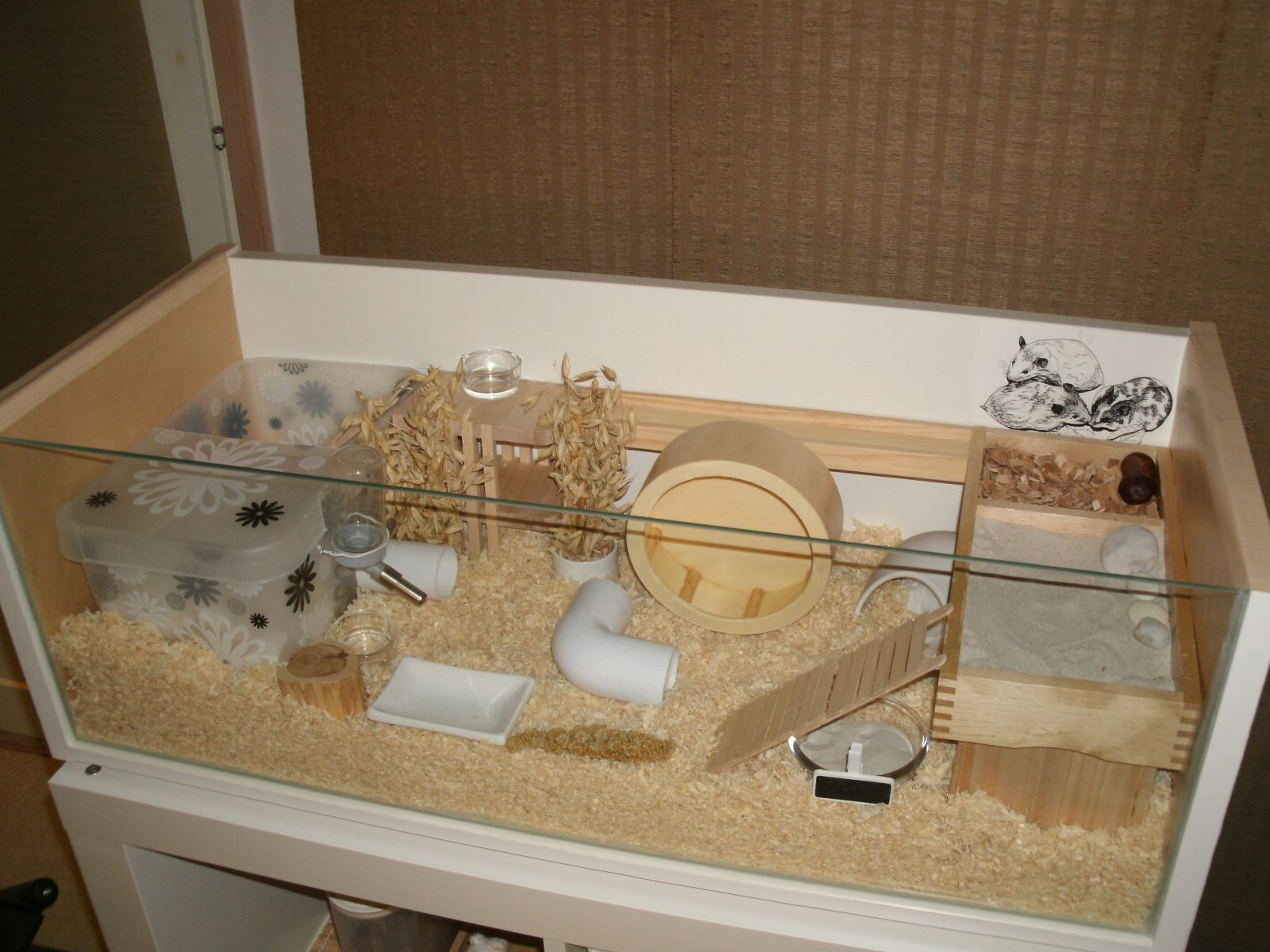 Best ideas about Hamster Cage DIY
. Save or Pin Best 25 Hamster cages ideas on Pinterest Now.