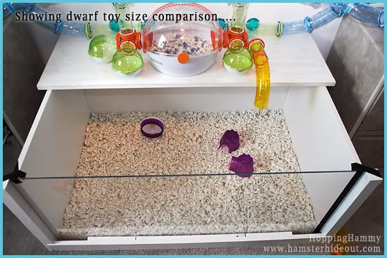 Best ideas about Hamster Cage DIY
. Save or Pin DIY cages with instructions Supplies & Accessories Now.