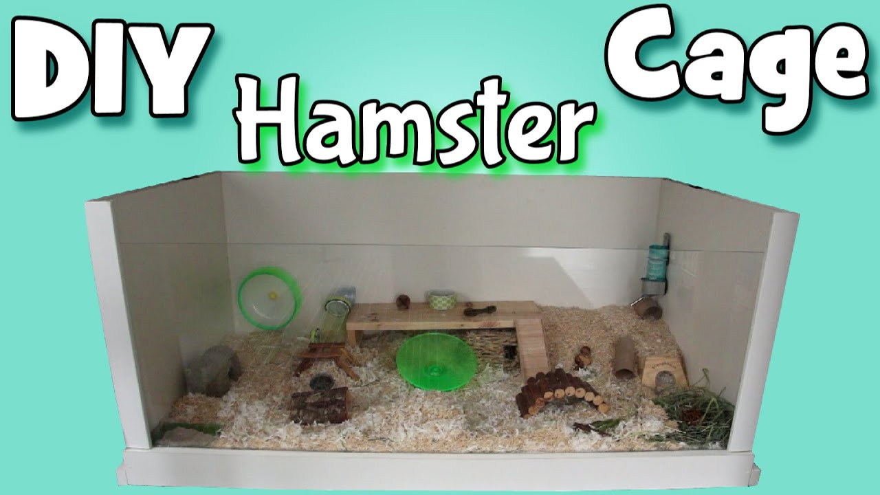 Best ideas about Hamster Cage DIY
. Save or Pin Building My DIY Hamster Cage Now.