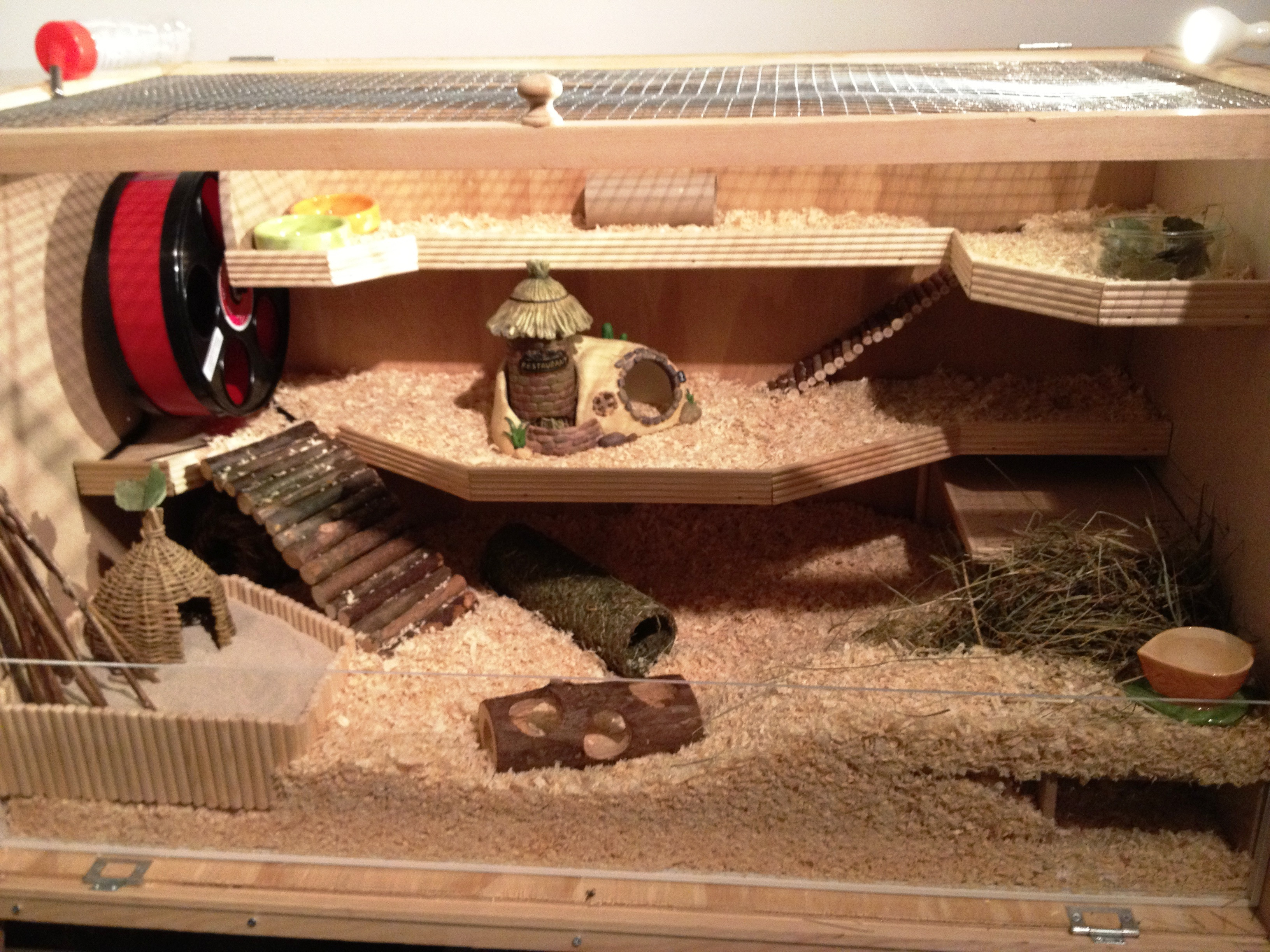 Best ideas about Hamster Cage DIY
. Save or Pin Build your own hamster cage – photo guide Now.