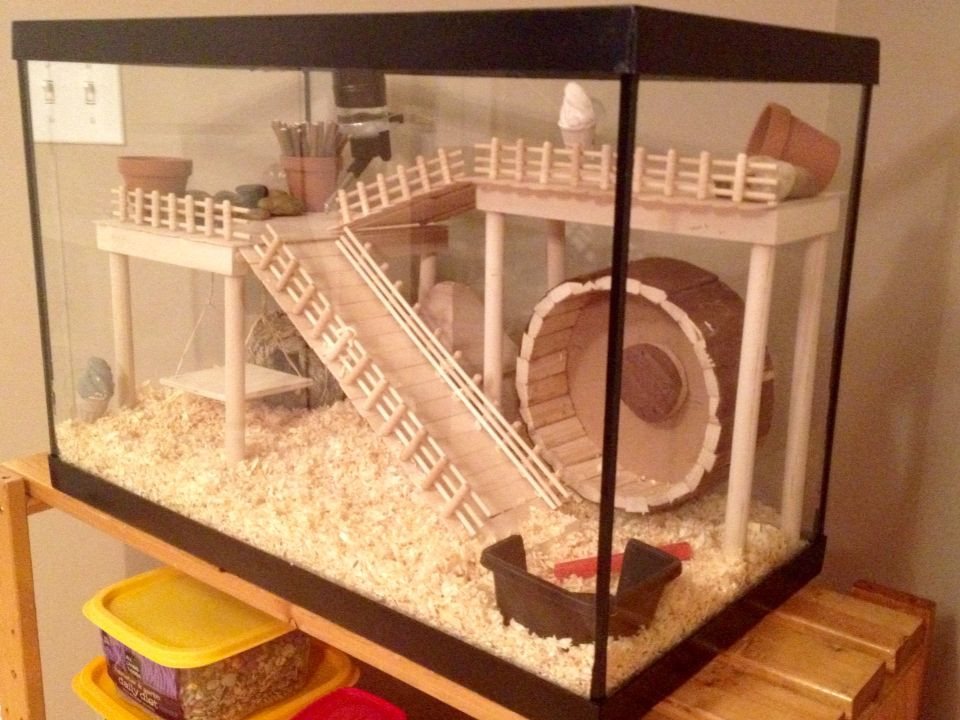 Best ideas about Hamster Cage DIY
. Save or Pin Hamster Cage DIY aquarium conversion … Now.