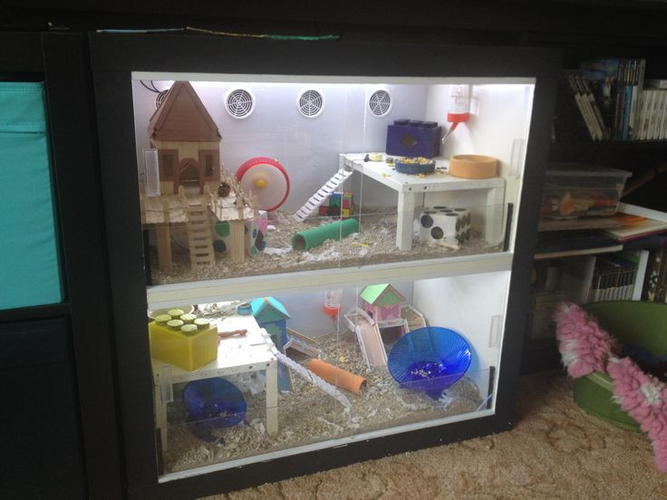 Best ideas about Hamster Cage DIY
. Save or Pin DIY hamster cage made from Ikea unit Check out how easy Now.