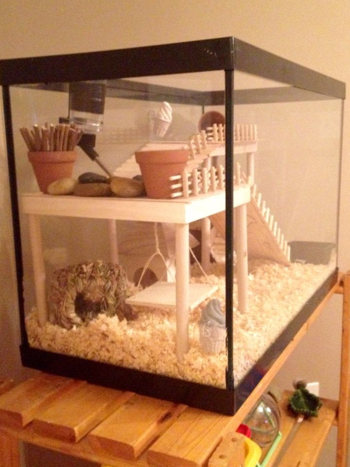 Best ideas about Hamster Cage DIY
. Save or Pin 25 Best Ideas about Hamster Toys on Pinterest Now.