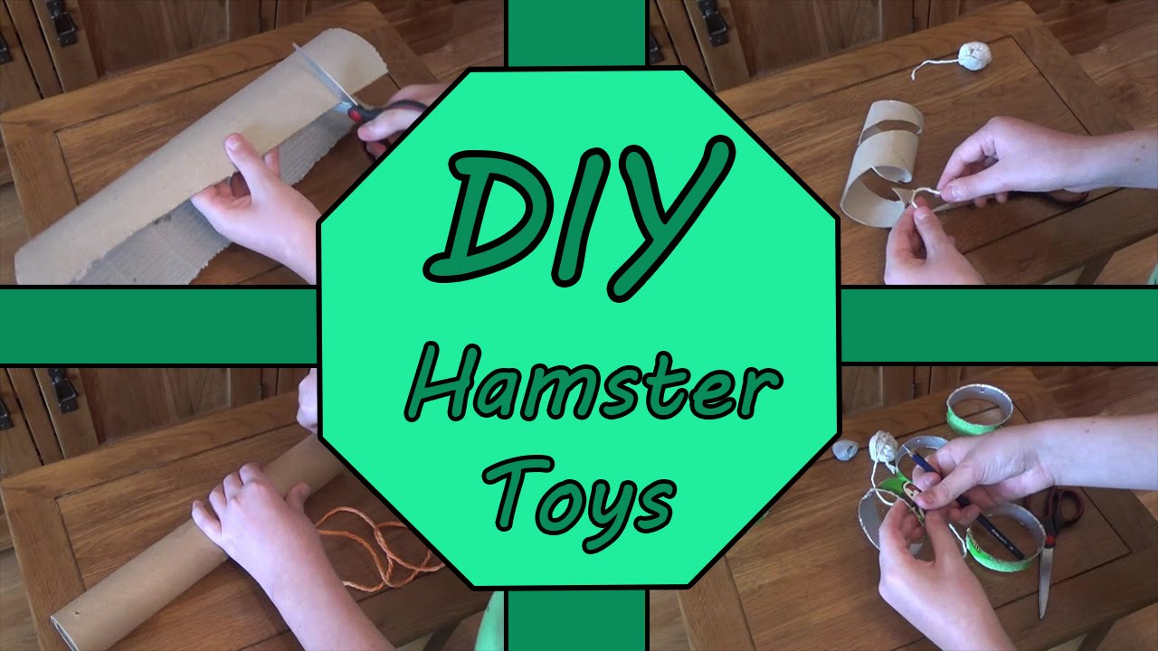 Best ideas about Hamster Toys DIY
. Save or Pin DIY Hamster Toys Now.