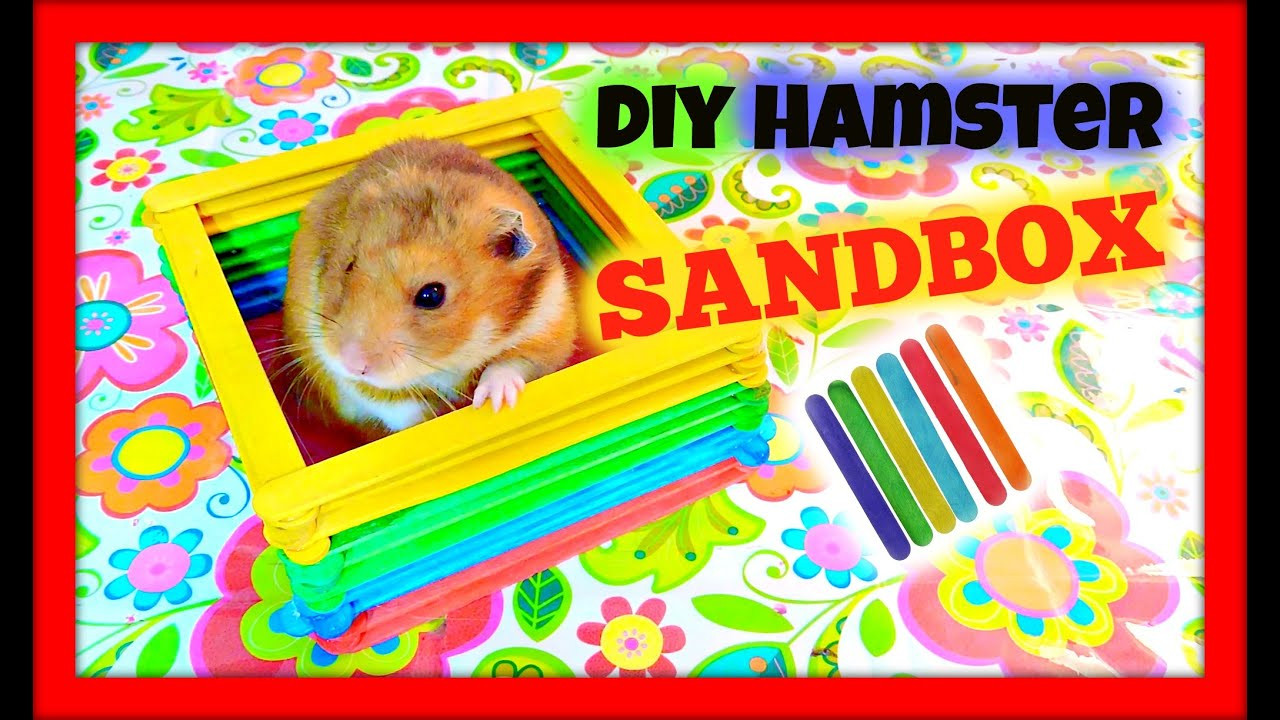 Best ideas about Hamster Toys DIY
. Save or Pin DIY Hamster Toy Now.