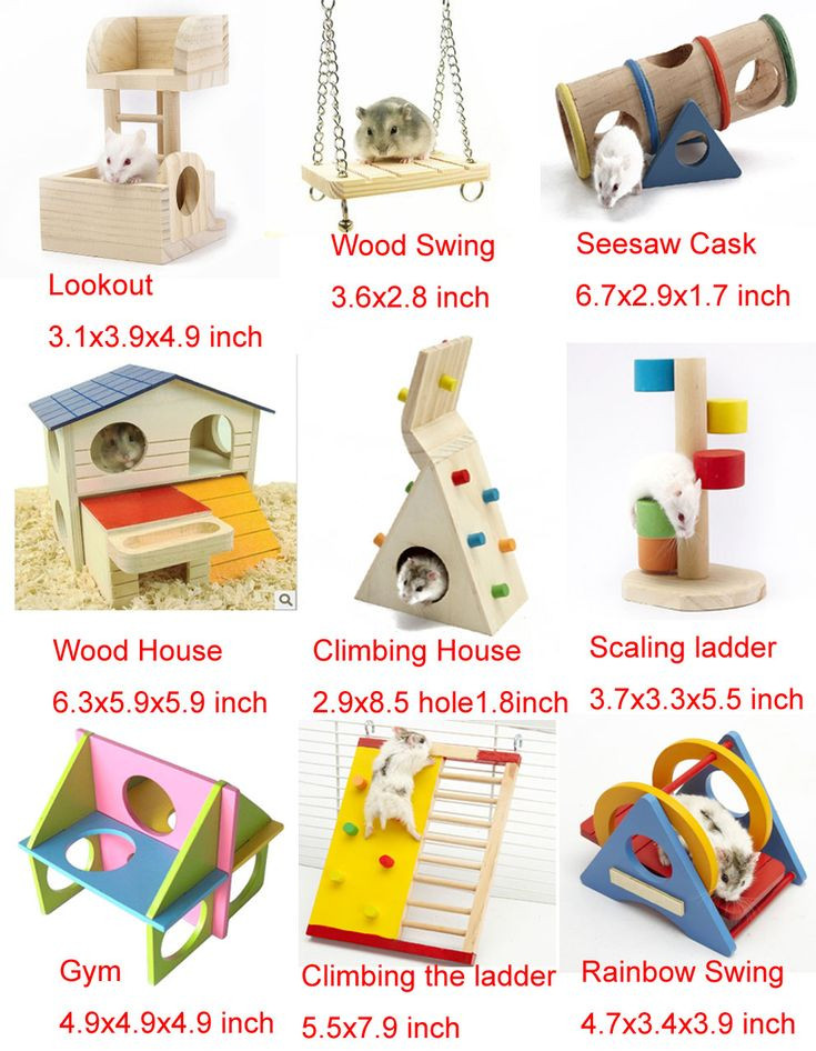 Best ideas about Hamster Toys DIY
. Save or Pin 25 Best Ideas about Hamster Toys on Pinterest Now.