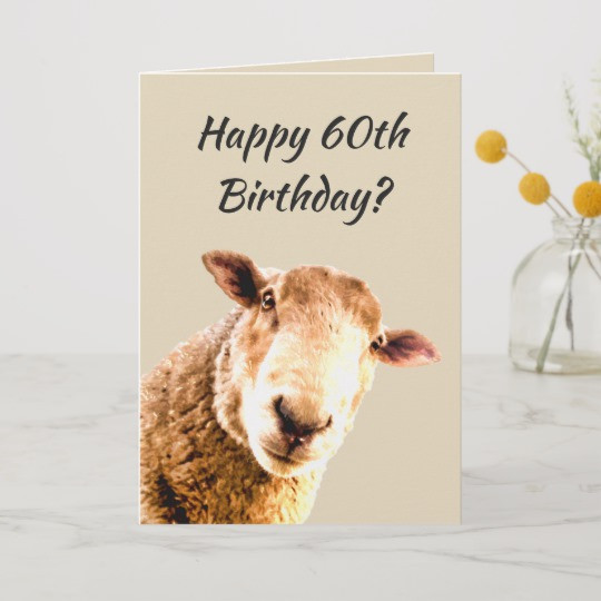 Best ideas about Happy 60th Birthday Funny
. Save or Pin Happy 60th Birthday Funny Sheep Animal Humor Card Now.