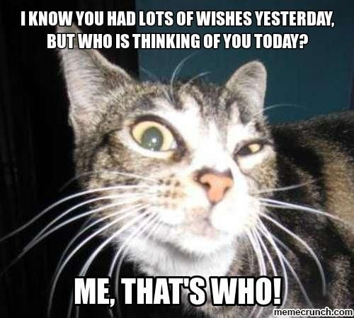 Best ideas about Happy Belated Birthday Meme Funny
. Save or Pin Pin by Donda Willenburg on Mew Mew Cats = = Now.