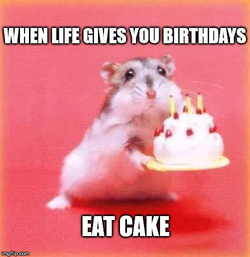 Best ideas about Happy Birthday Cake Meme
. Save or Pin Top 100 Original and Funny Happy Birthday Memes Now.