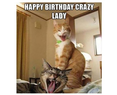 Best ideas about Happy Birthday Cats Funny
. Save or Pin 45 Cat Birthday Memes Now.