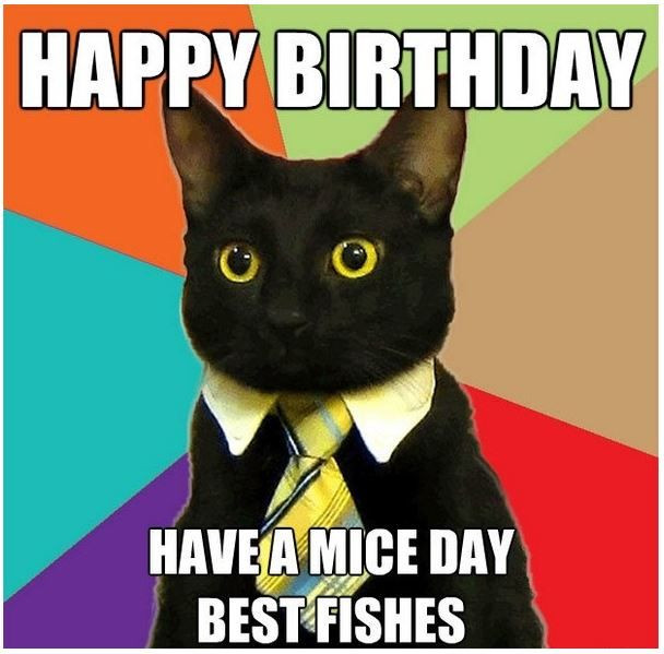 Best ideas about Happy Birthday Cats Funny
. Save or Pin Beautiful Cat Happy birthday memes pics Now.