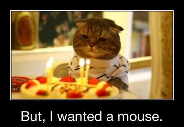 Best ideas about Happy Birthday Cats Funny
. Save or Pin 42 Most Happy Funny Birthday & Now.