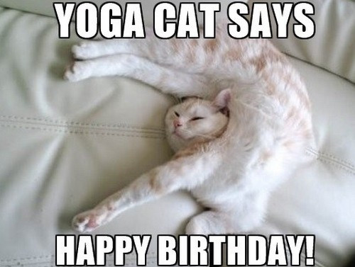 Best ideas about Happy Birthday Cats Funny
. Save or Pin 45 Cat Birthday Memes Now.