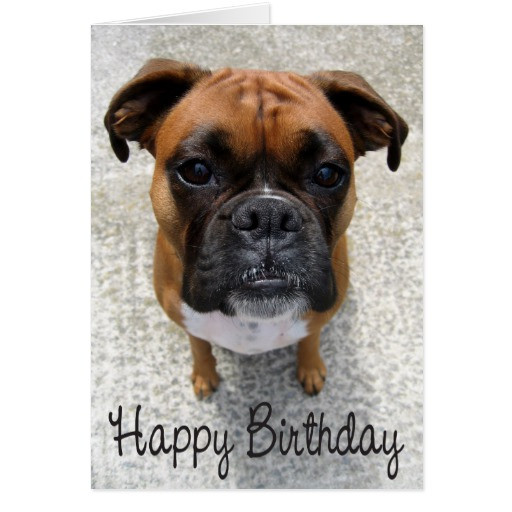 Best ideas about Happy Birthday Dog Card
. Save or Pin Boxer Puppy Dog Happy Birthday Card Verse Now.