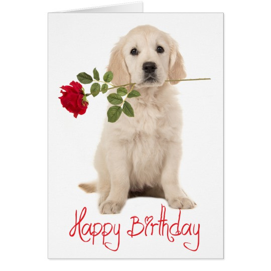 Best ideas about Happy Birthday Dog Card
. Save or Pin Happy Birthday Golden Retriever Puppy Dog Card Now.