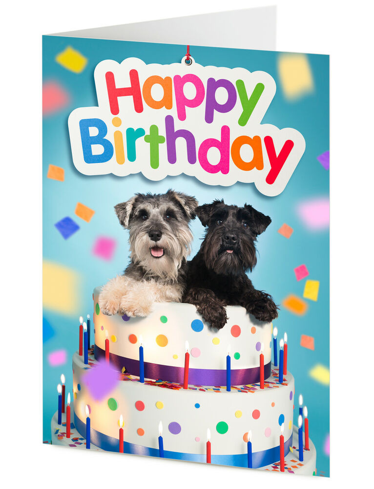 Best ideas about Happy Birthday Dog Card
. Save or Pin HAPPY BIRTHDAY CARD two funny miniature schnauzer dogs in Now.