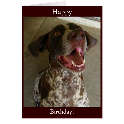 Best ideas about Happy Birthday Dog Card
. Save or Pin Happy Birthday From The Dog Cards Happy Birthday From The Now.