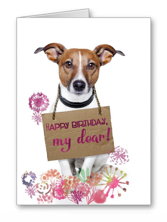 Best ideas about Happy Birthday Dog Card
. Save or Pin Greetings Card Happy Birthday Cards Dogs Jack by Now.