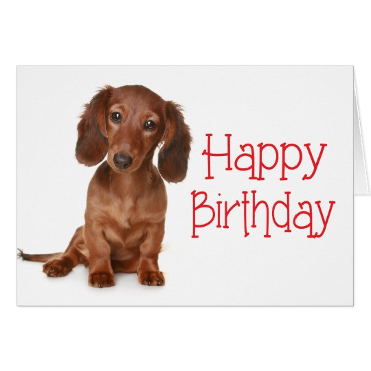 Best ideas about Happy Birthday Dog Card
. Save or Pin Happy Birthday Dachshund Puppy Dog Card Now.