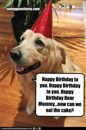 Best ideas about Happy Birthday Dog Quotes
. Save or Pin Dog Funny Birthday Quotes QuotesGram Now.