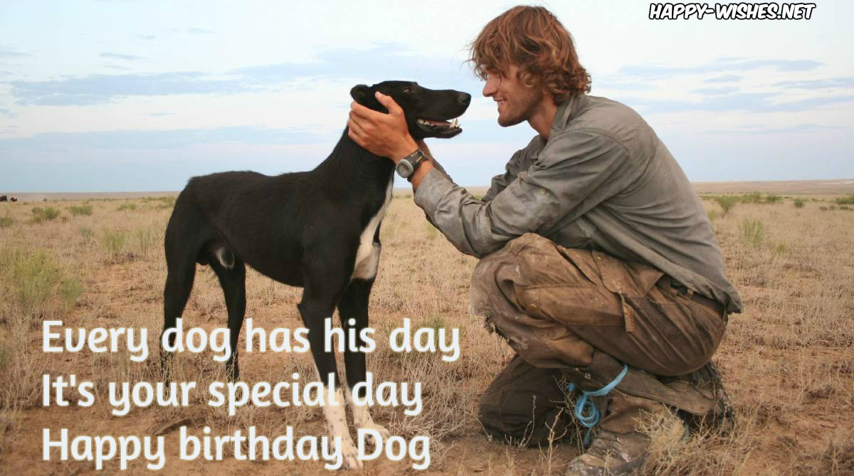 Best ideas about Happy Birthday Dog Quotes
. Save or Pin Happy Birthday Wishes For Dog Quotes & Memes Now.